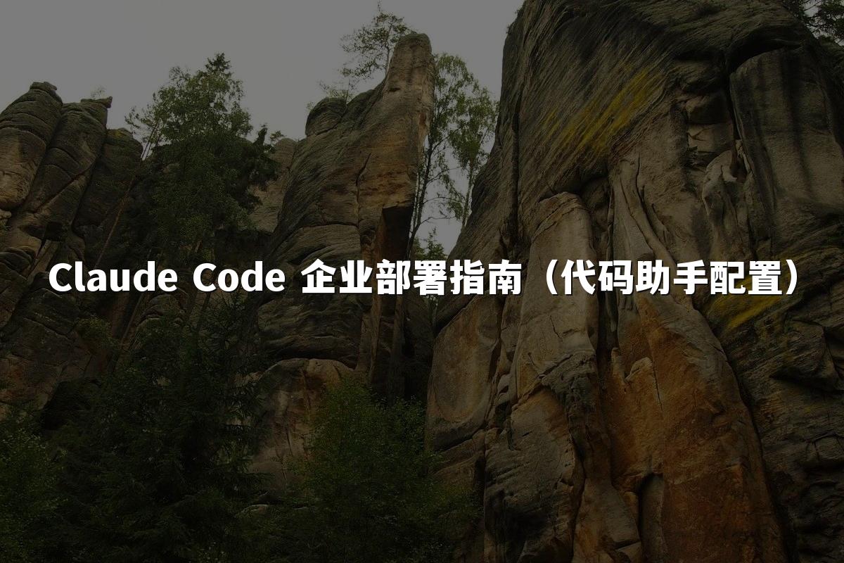 Claude Code 企业部署指南（代码助手配置）