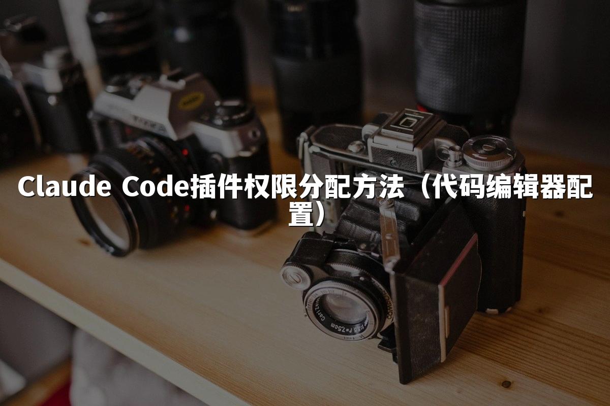 Claude Code插件权限分配方法（代码编辑器配置）