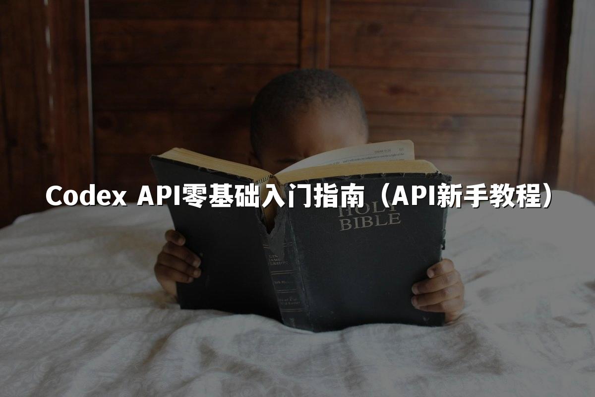 Codex API零基础入门指南（API新手教程）