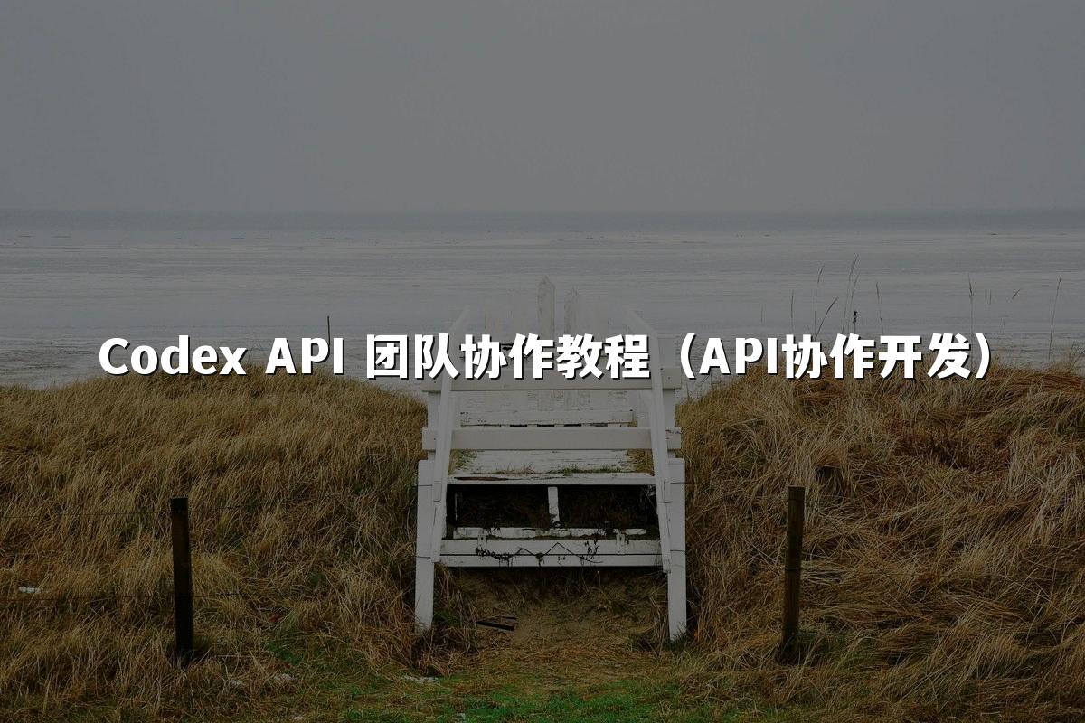 Codex API 团队协作教程（API协作开发）