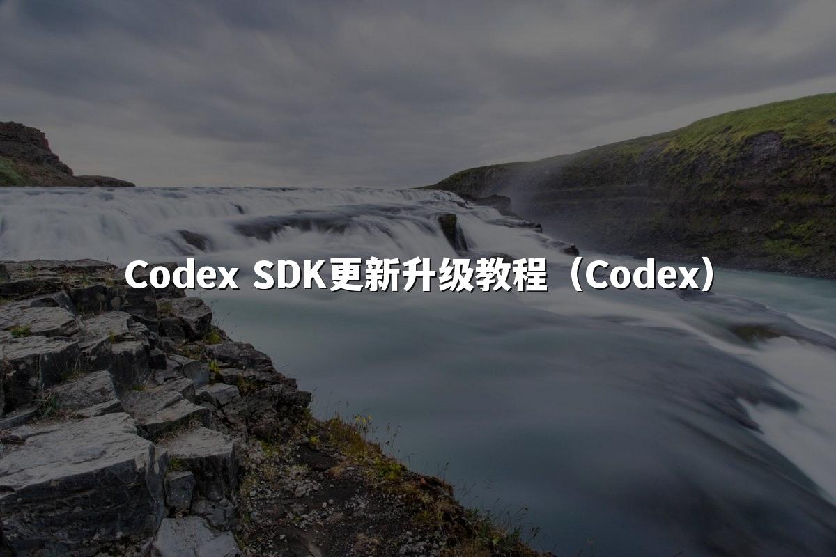 Codex SDK更新升级教程（Codex）