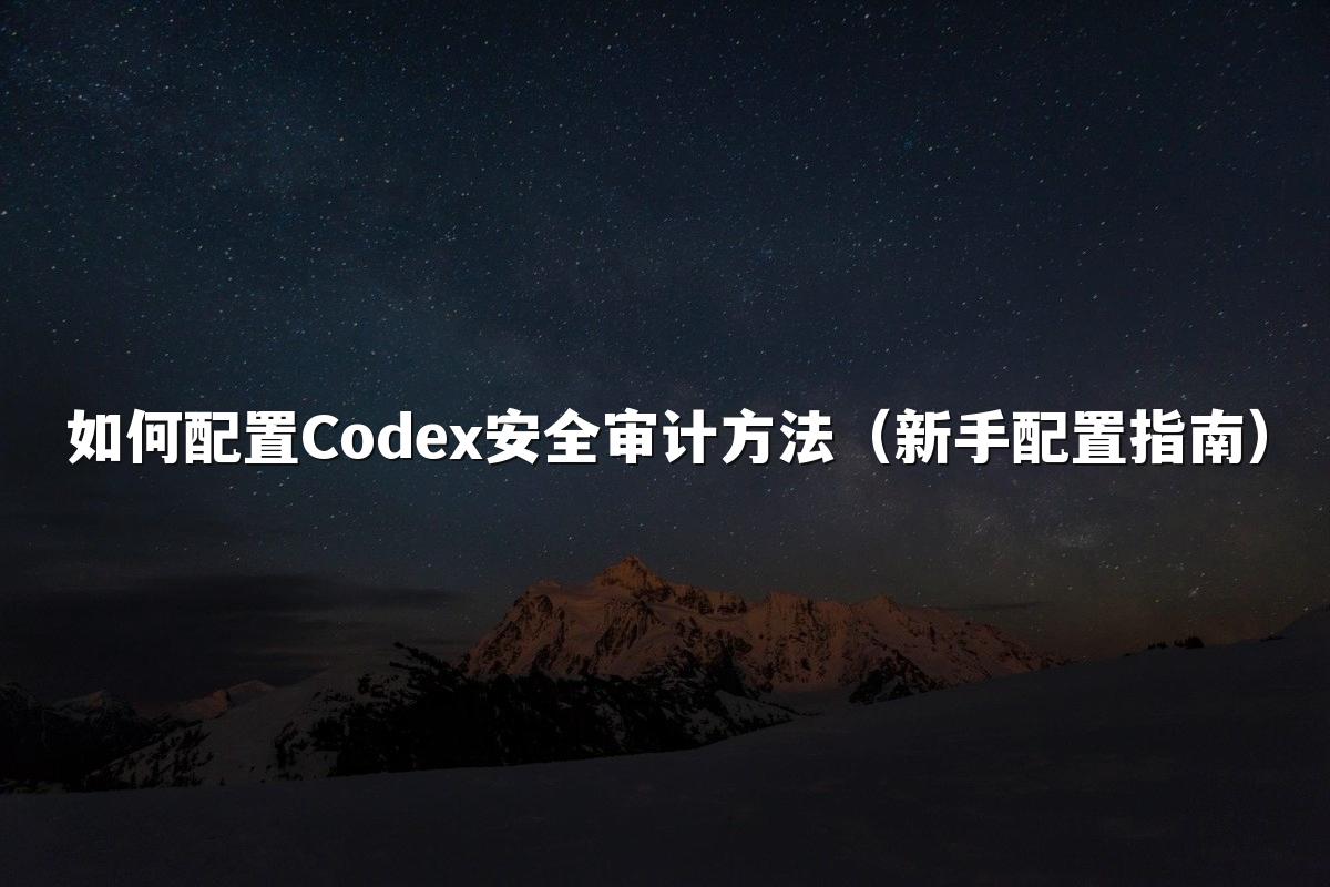 如何配置Codex安全审计方法（新手配置指南）