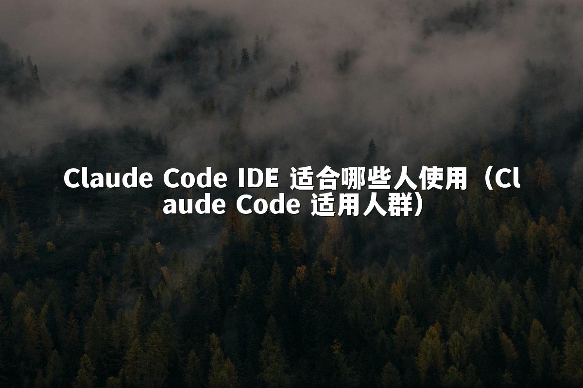 Claude Code IDE 适合哪些人使用（Claude Code 适用人群）