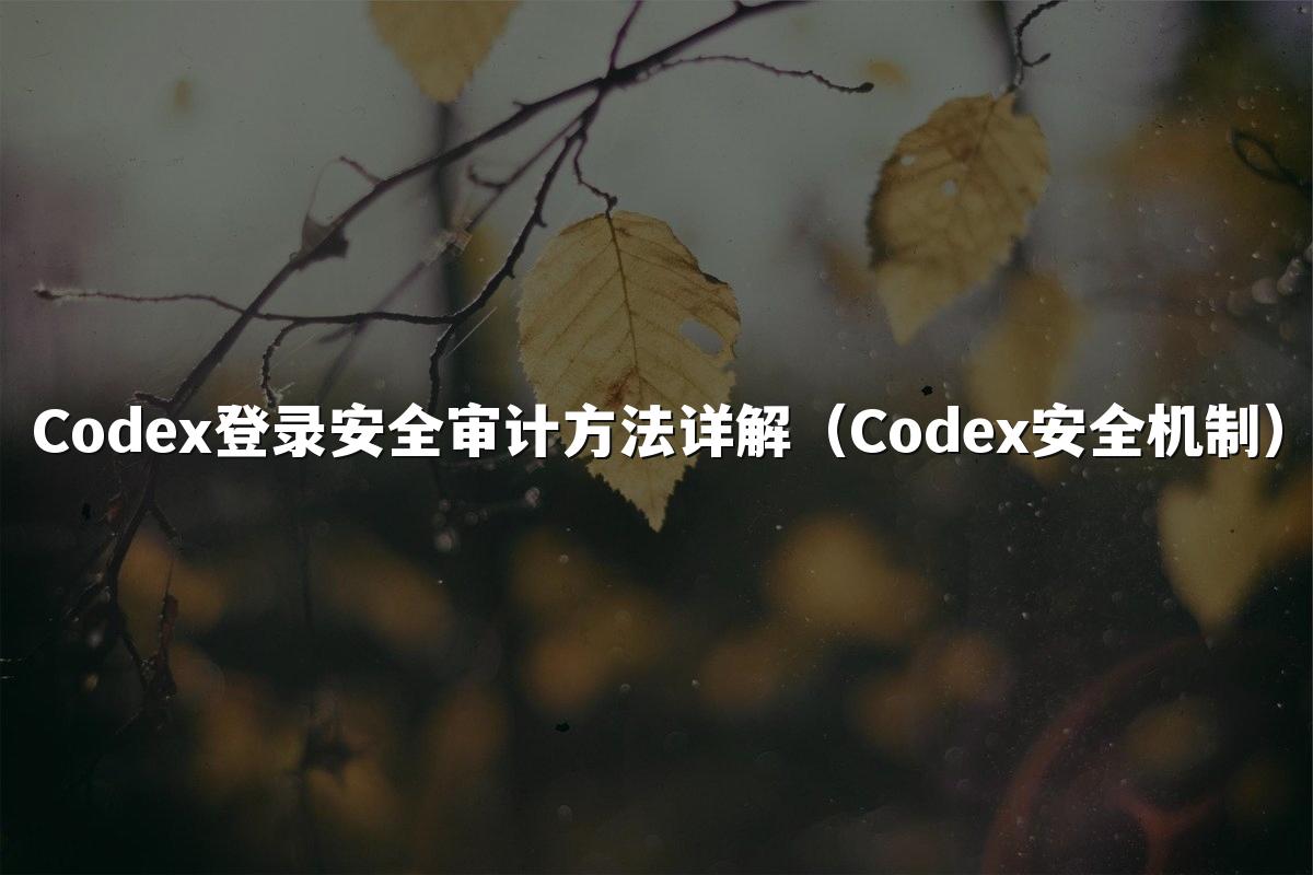 Codex登录安全审计方法详解（Codex安全机制）