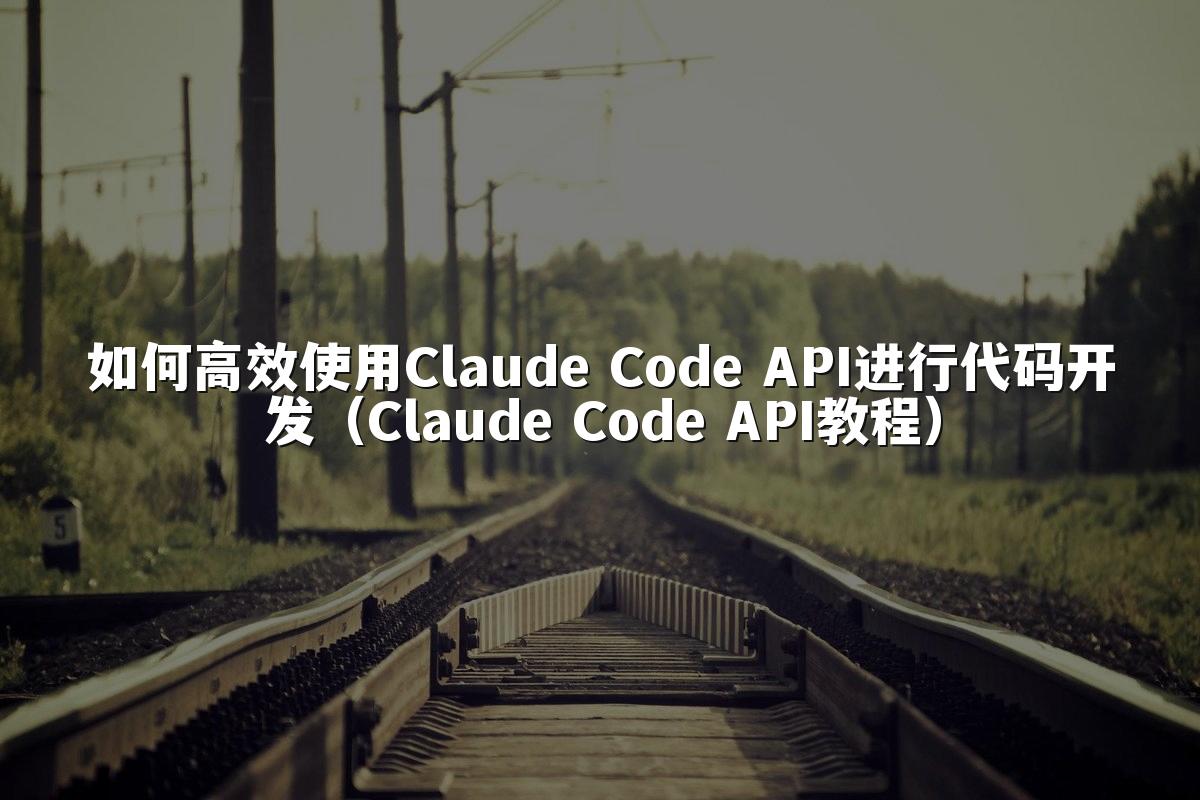 如何高效使用Claude Code API进行代码开发（Claude Code API教程）