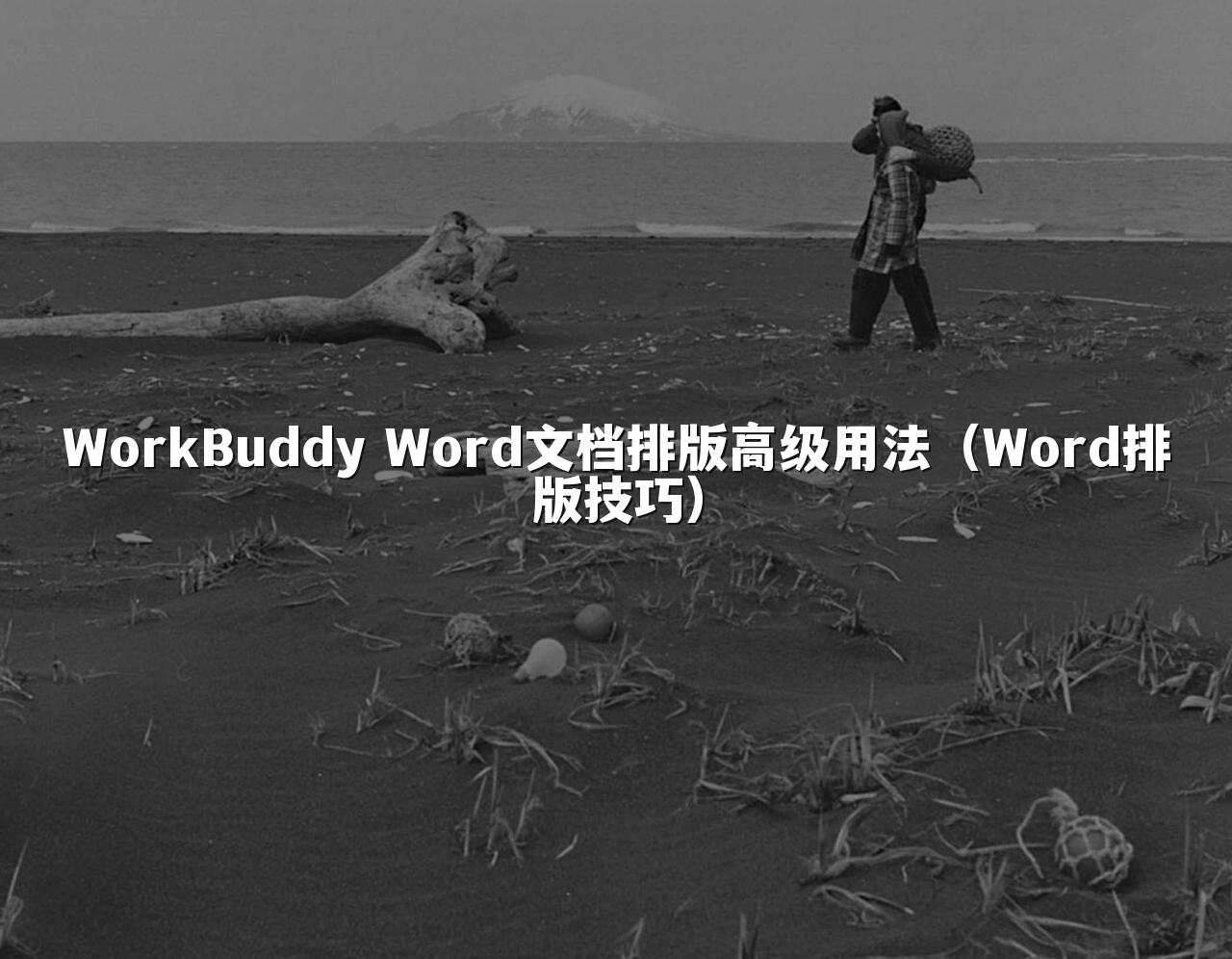WorkBuddy Word文档排版高级用法(Word排版技巧)
