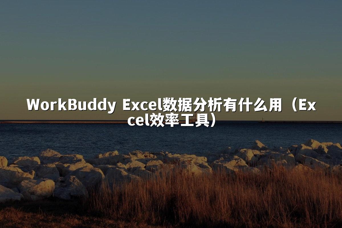 WorkBuddy Excel数据分析有什么用(Excel效率工具)