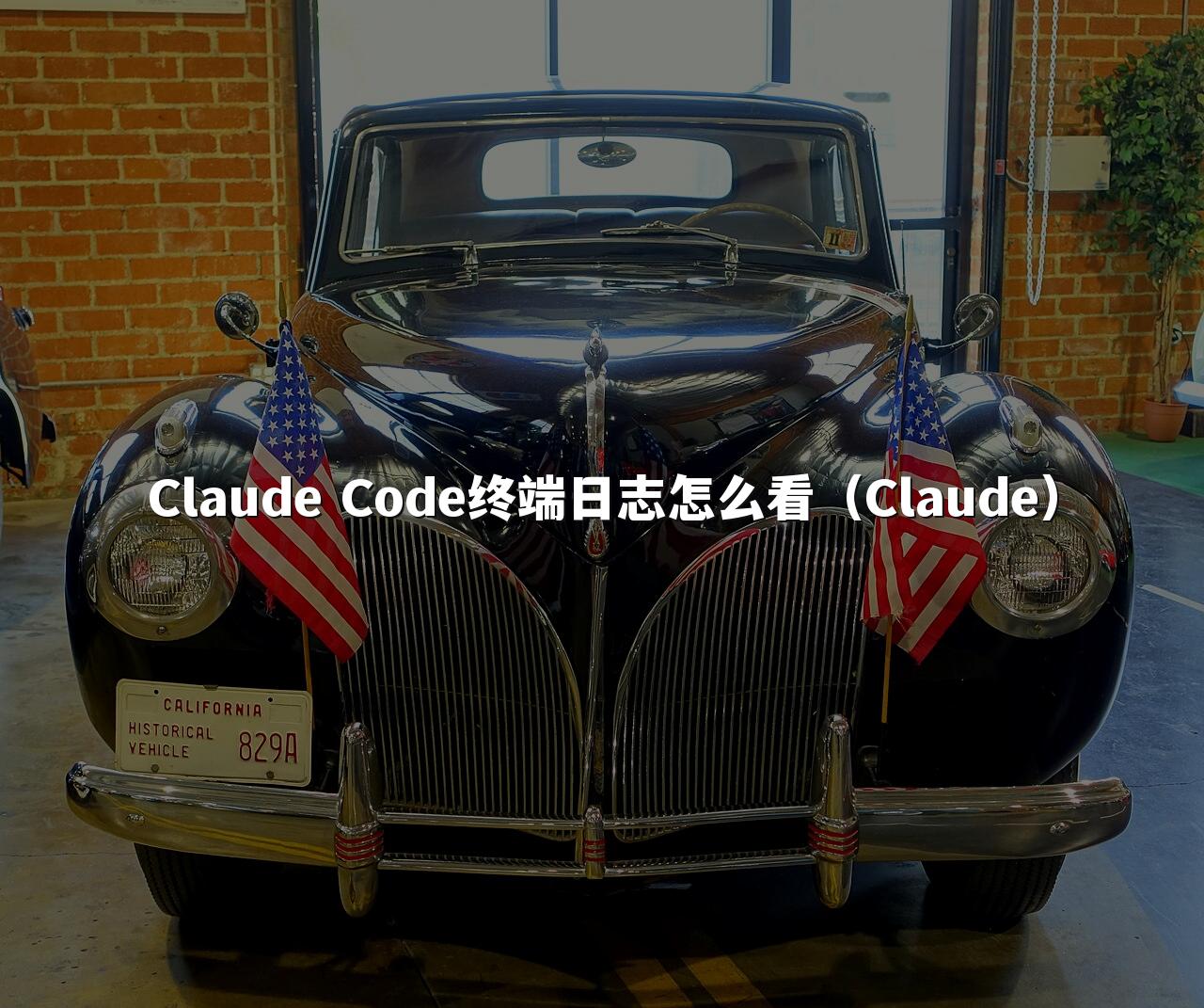 Claude Code终端日志怎么看（Claude）