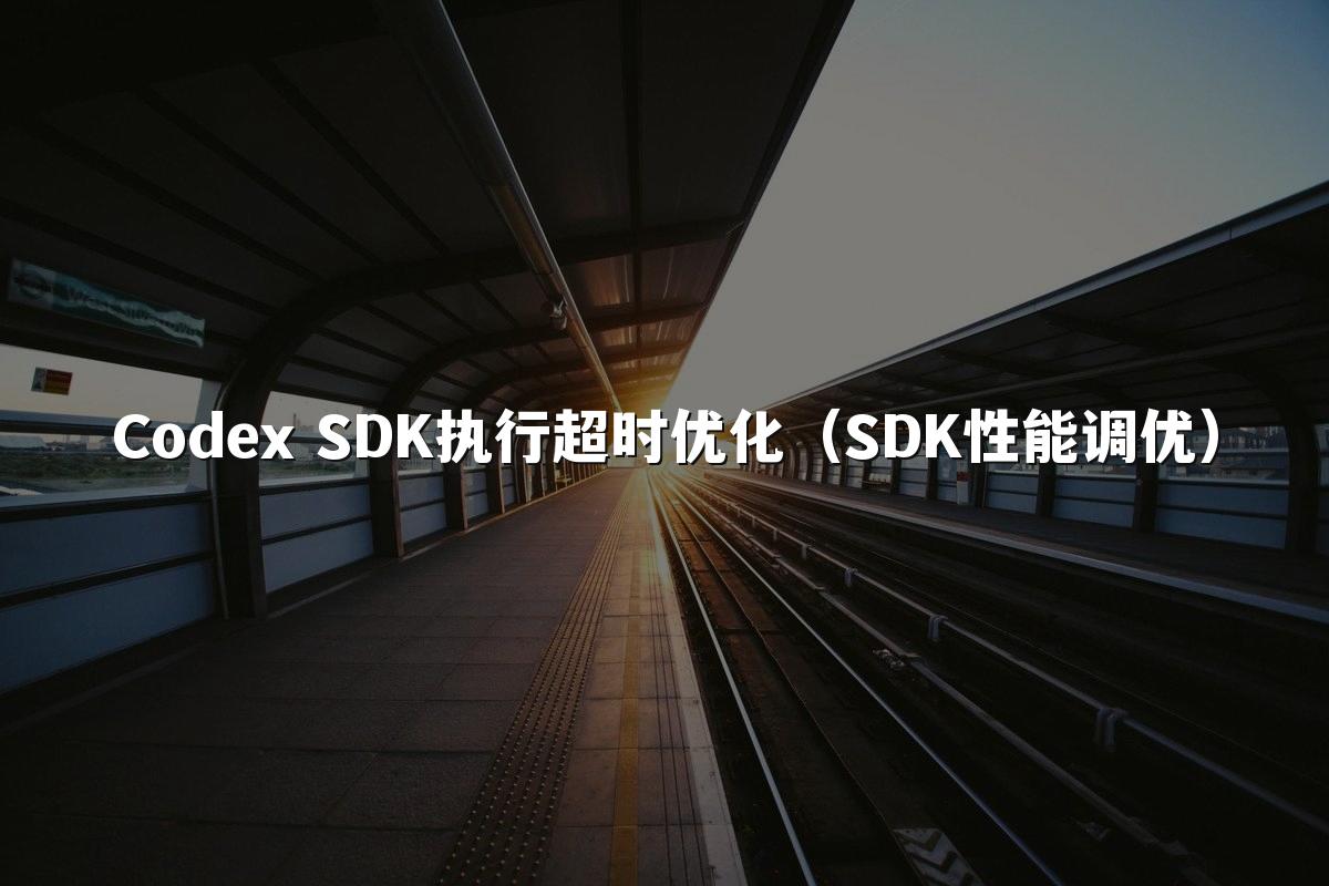 Codex SDK执行超时优化（SDK性能调优）
