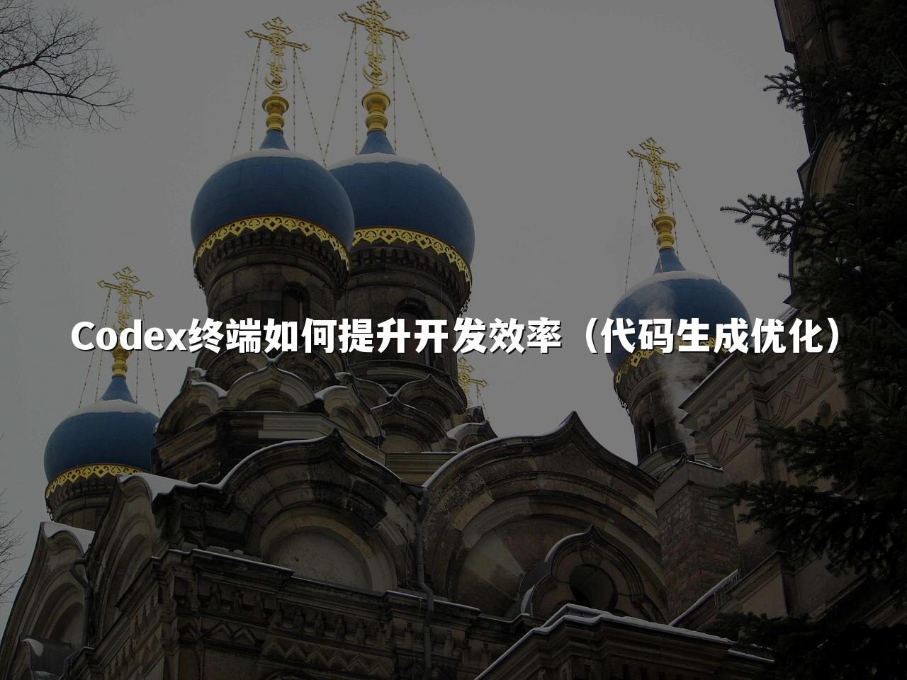 Codex终端如何提升开发效率(代码生成优化)