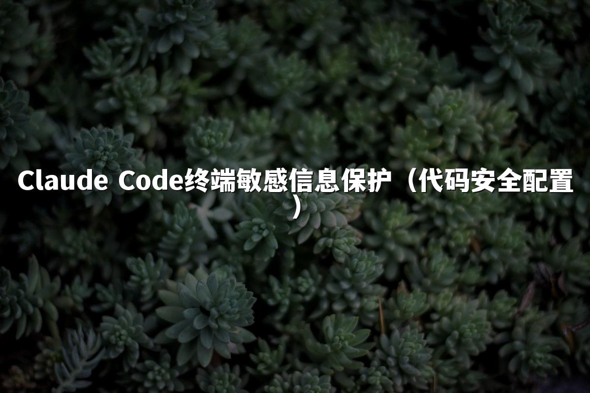 Claude Code终端敏感信息保护（代码安全配置）