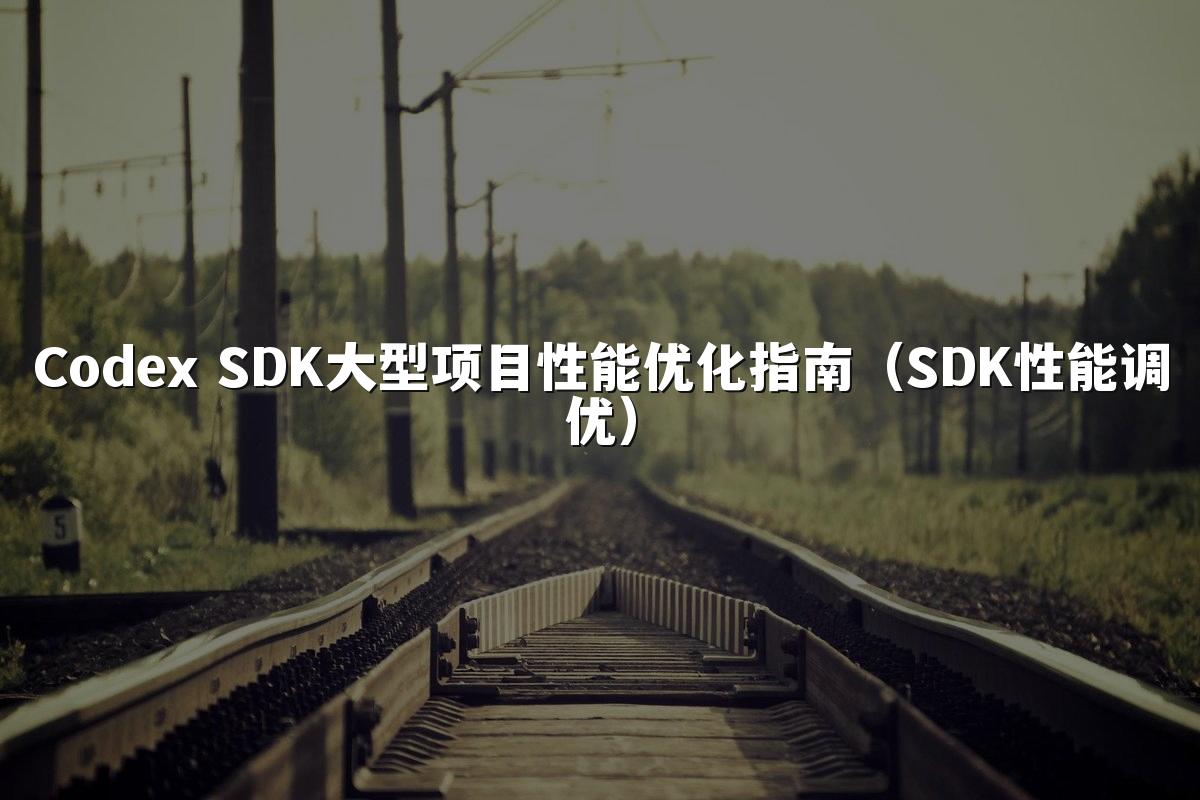 Codex SDK大型项目性能优化指南(SDK性能调优)
