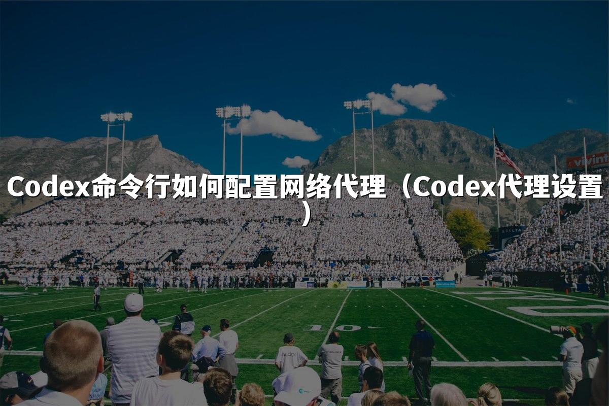 Codex命令行如何配置网络代理(Codex代理设置)