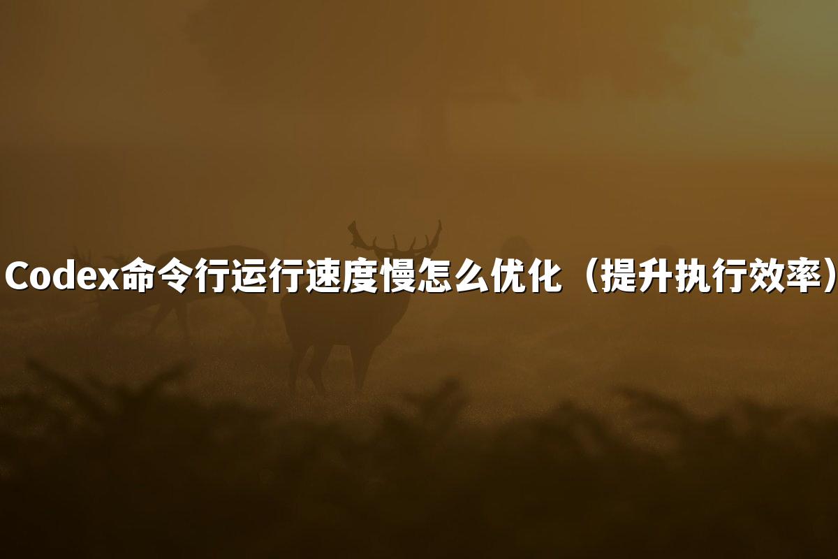 Codex命令行运行速度慢怎么优化（提升执行效率）
