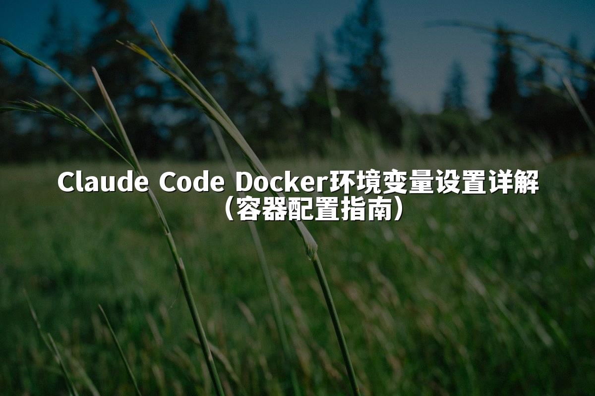 Claude Code Docker环境变量设置详解(容器配置指南)