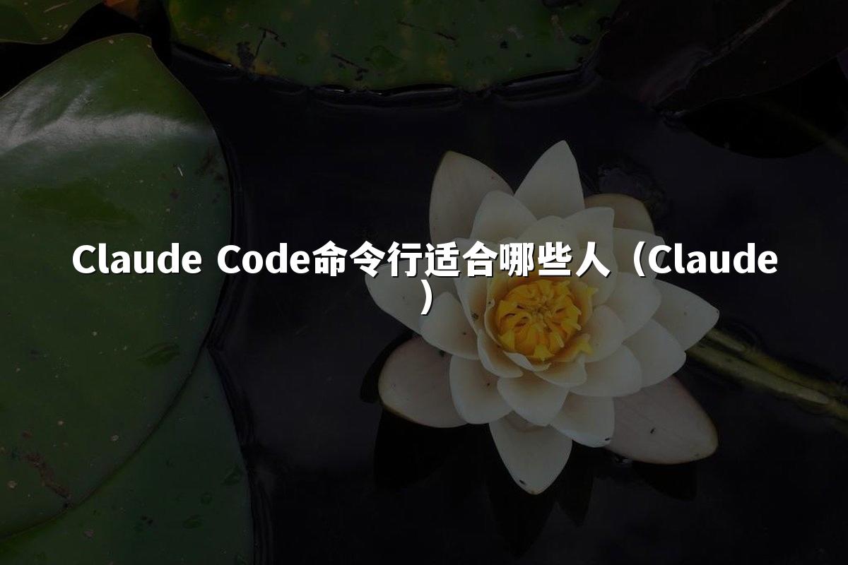 Claude Code命令行适合哪些人(Claude)