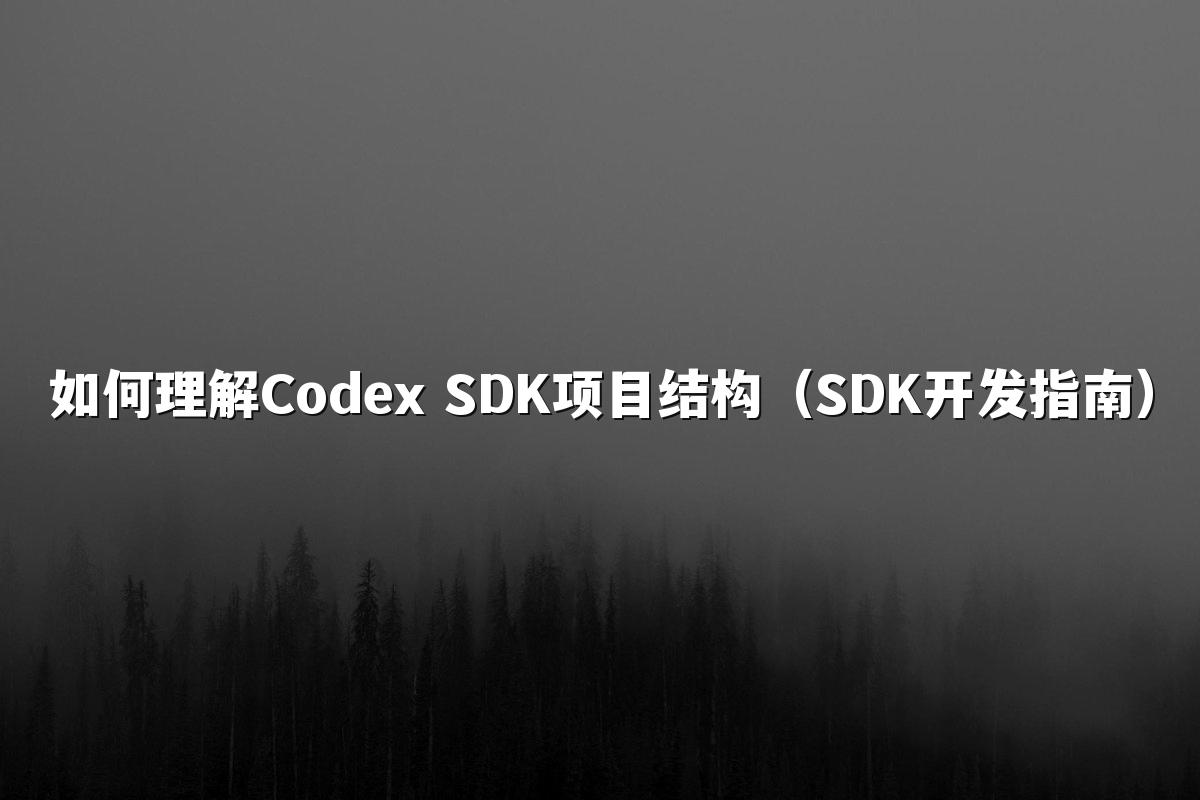 如何理解Codex SDK项目结构（SDK开发指南）