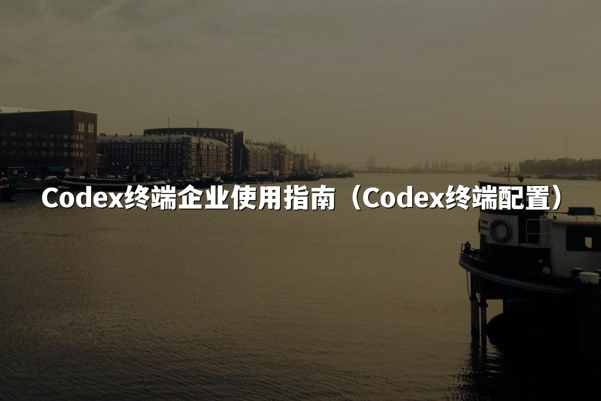 Codex终端企业使用指南（Codex终端配置）