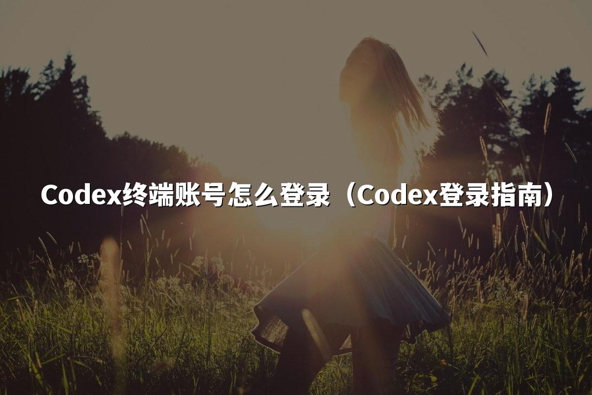 Codex终端账号怎么登录（Codex登录指南）
