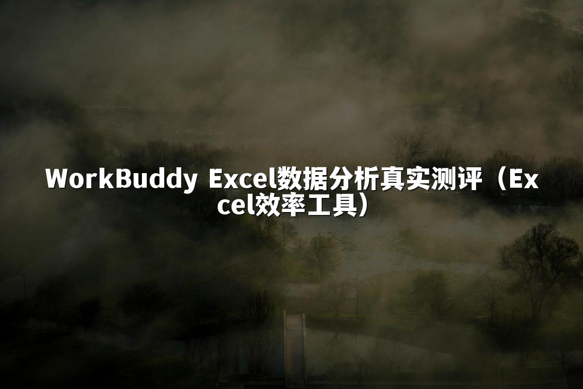 WorkBuddy Excel数据分析真实测评(Excel效率工具)