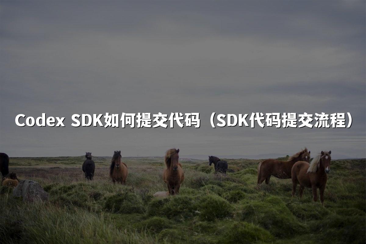 Codex SDK如何提交代码(SDK代码提交流程)