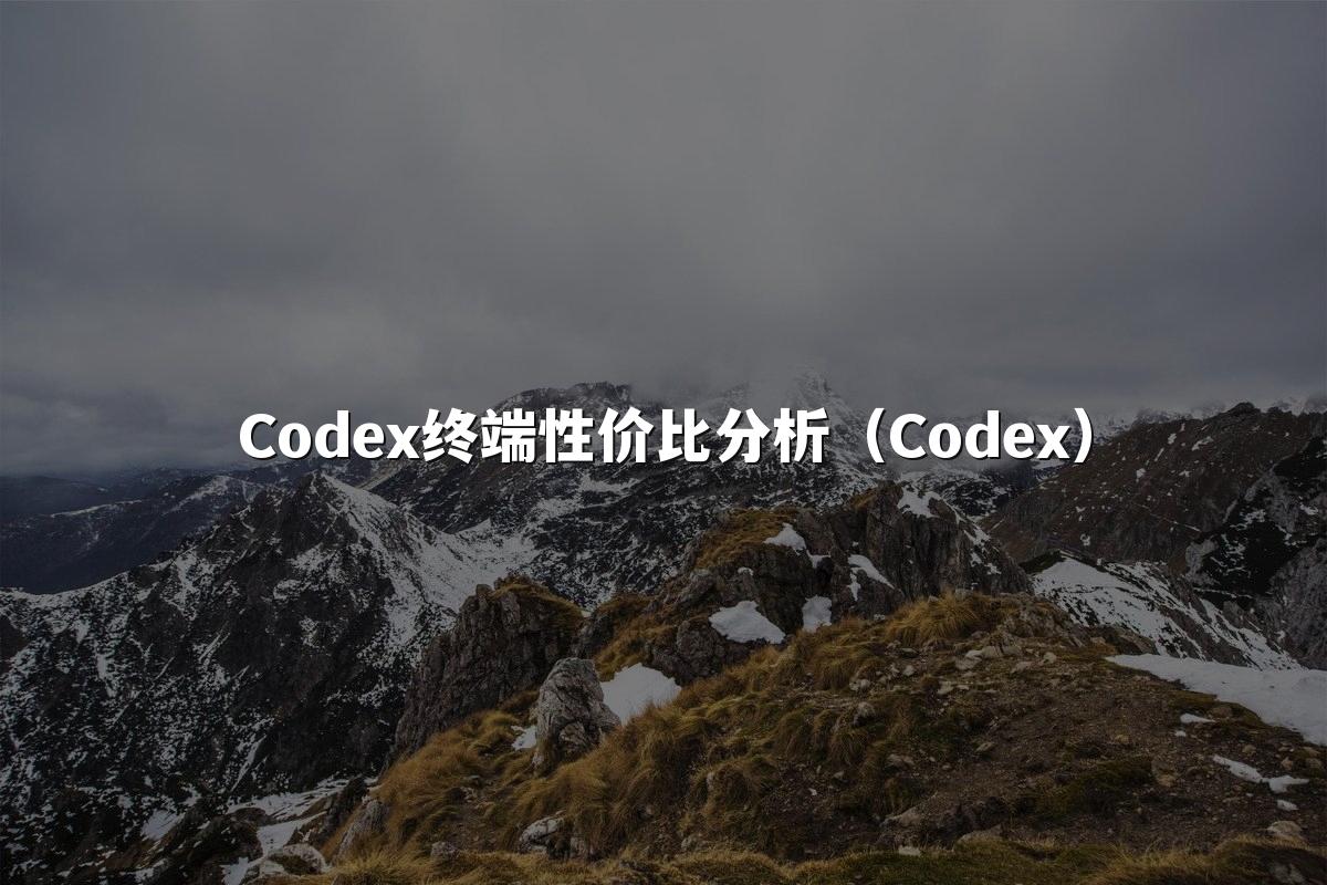 Codex终端性价比分析（Codex）