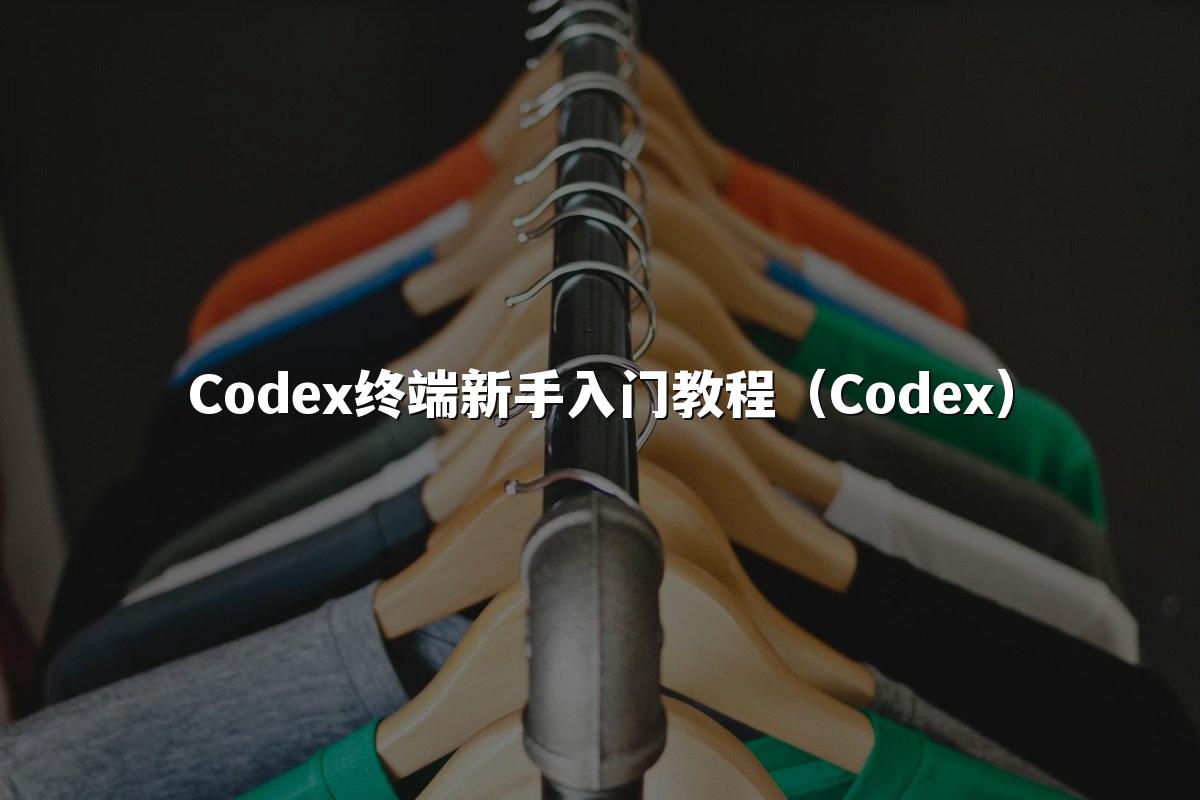 Codex终端新手入门教程（Codex）