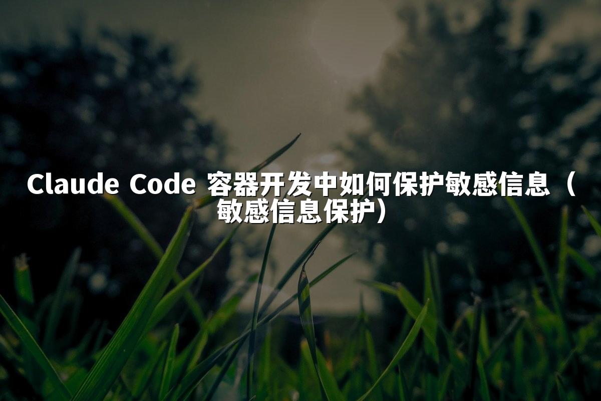 Claude Code 容器开发中如何保护敏感信息(敏感信息保护)