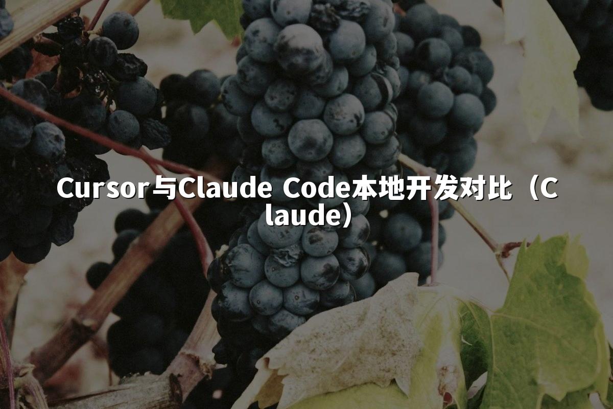 Cursor与Claude Code本地开发对比(Claude)
