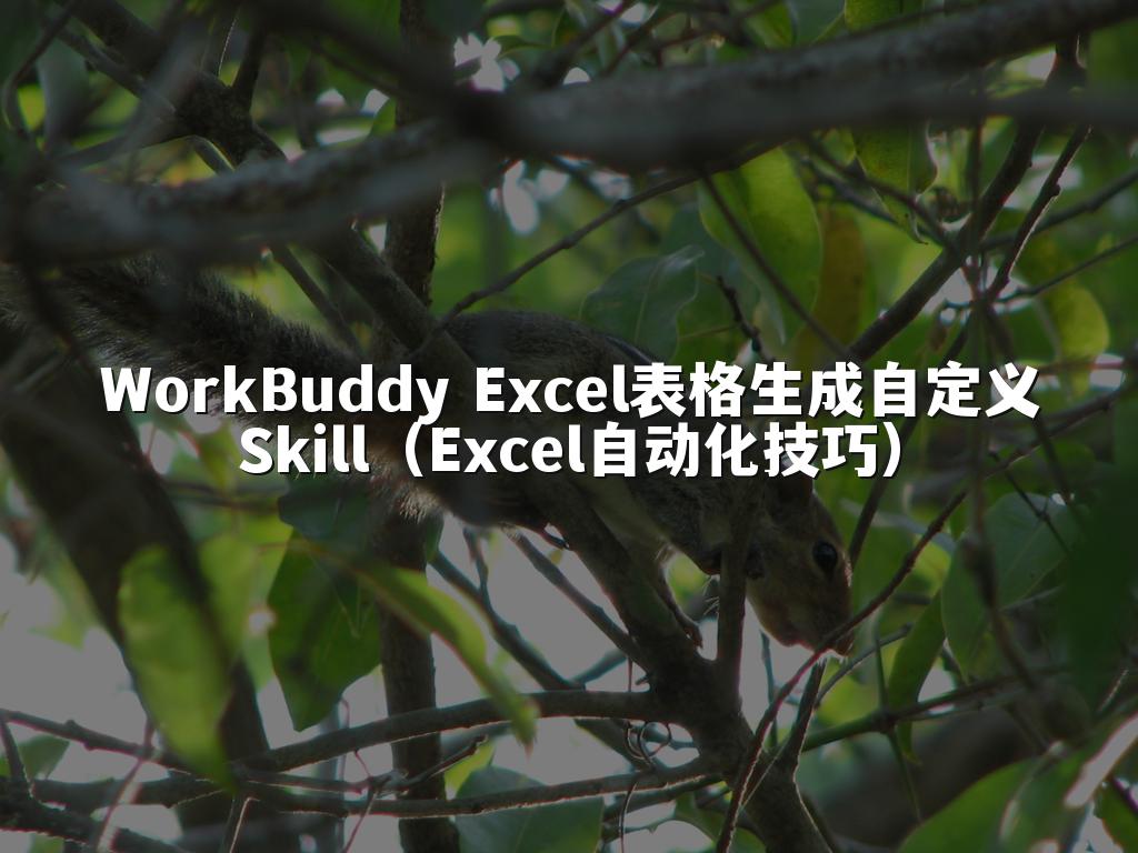WorkBuddy Excel表格生成自定义Skill(Excel自动化技巧)