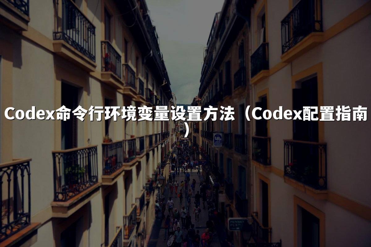 Codex命令行环境变量设置方法（Codex配置指南）