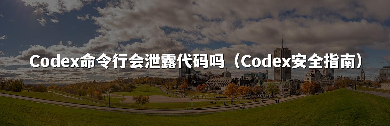Codex命令行会泄露代码吗（Codex安全指南）