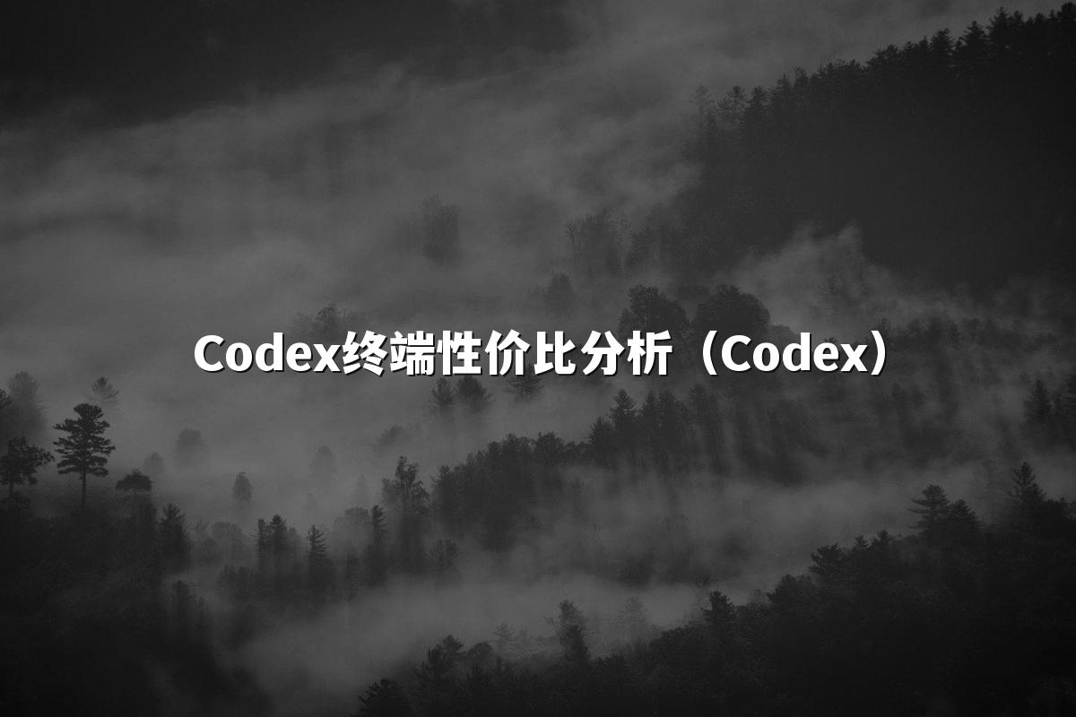 Codex终端性价比分析（Codex）