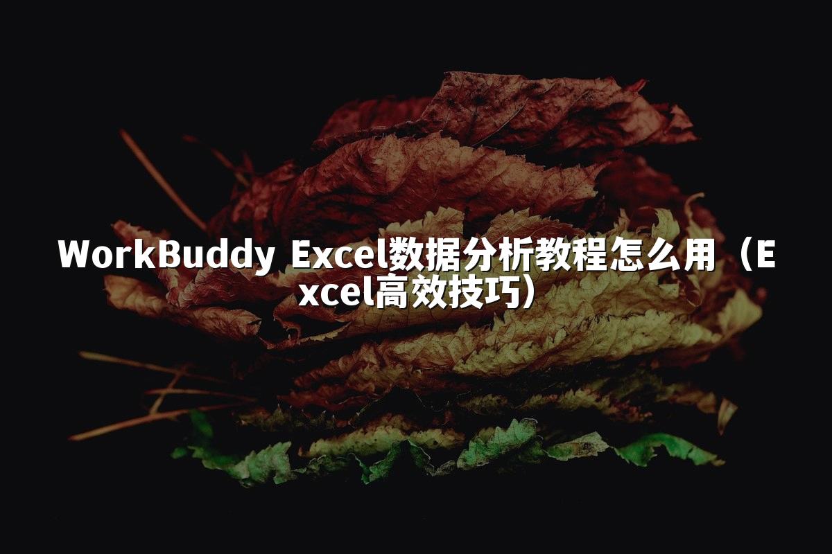 WorkBuddy Excel数据分析教程怎么用(Excel高效技巧)