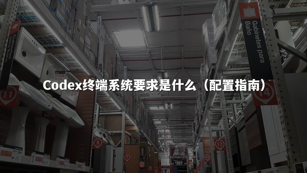 Codex终端系统要求是什么（配置指南）