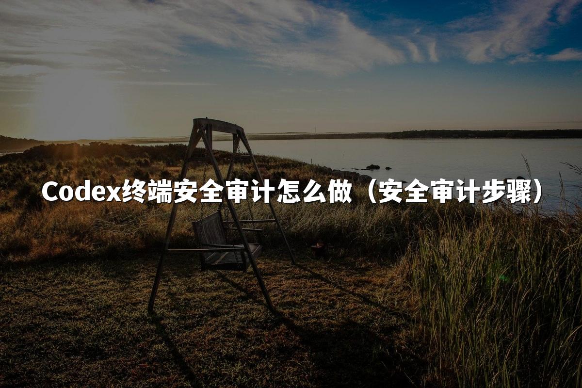 Codex终端安全审计怎么做（安全审计步骤）