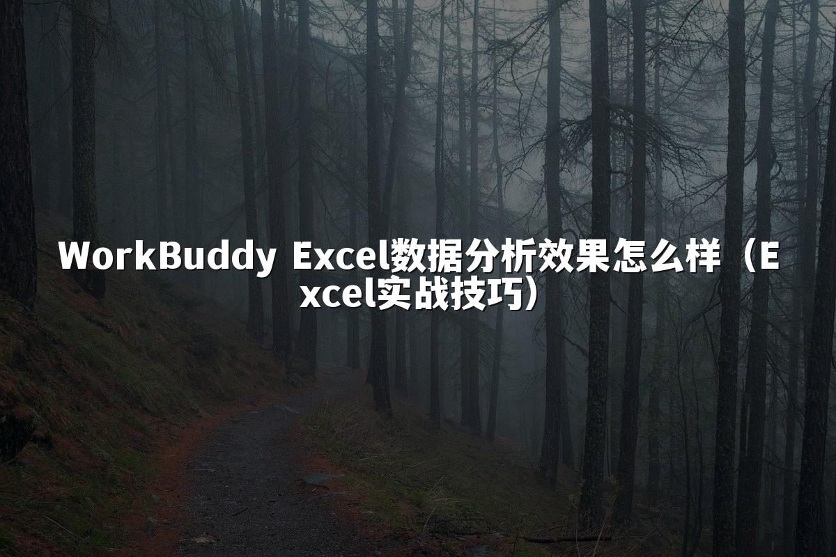 WorkBuddy Excel数据分析效果怎么样(Excel实战技巧)
