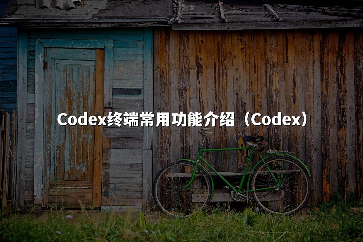 Codex终端常用功能介绍（Codex）