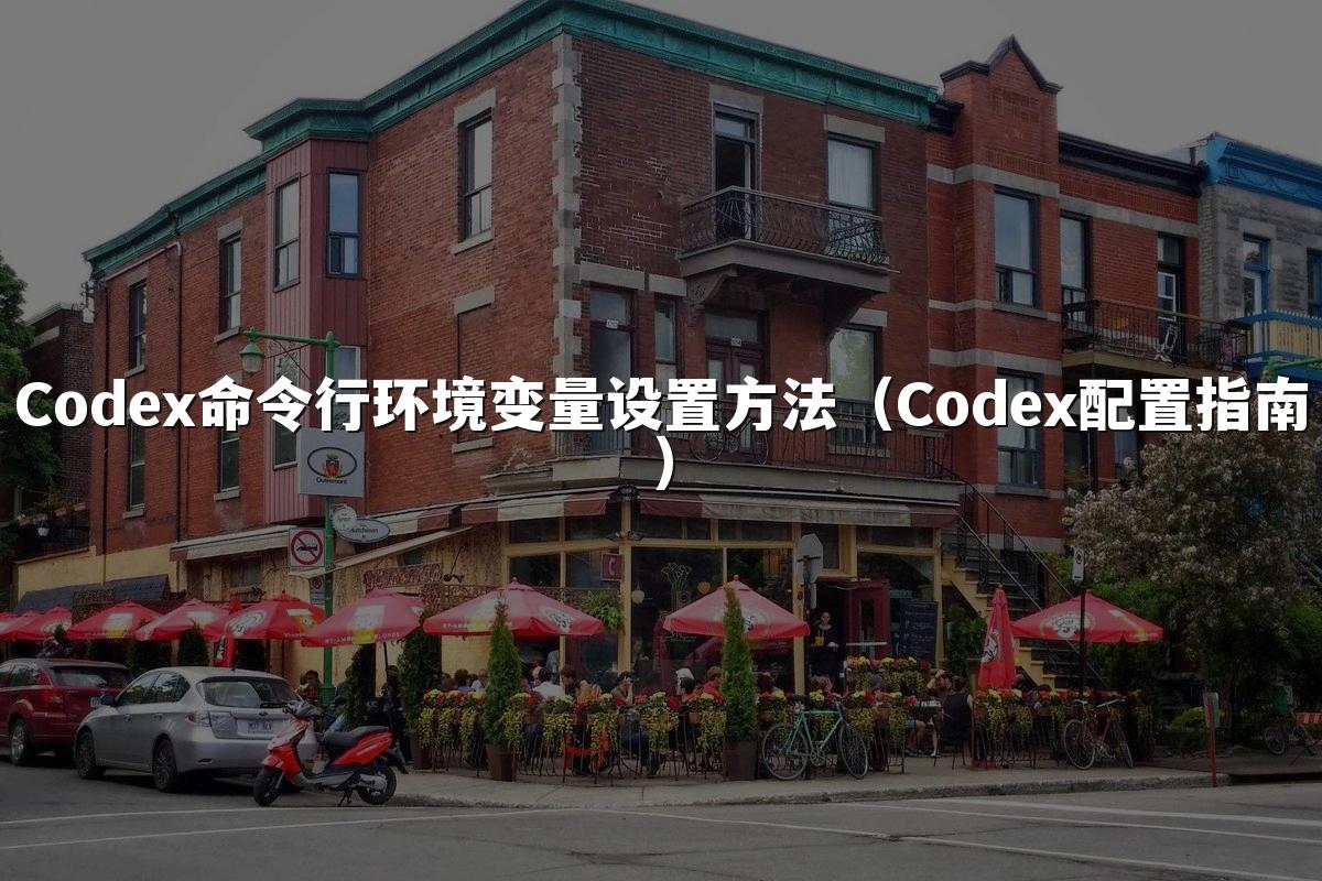 Codex命令行环境变量设置方法(Codex配置指南)