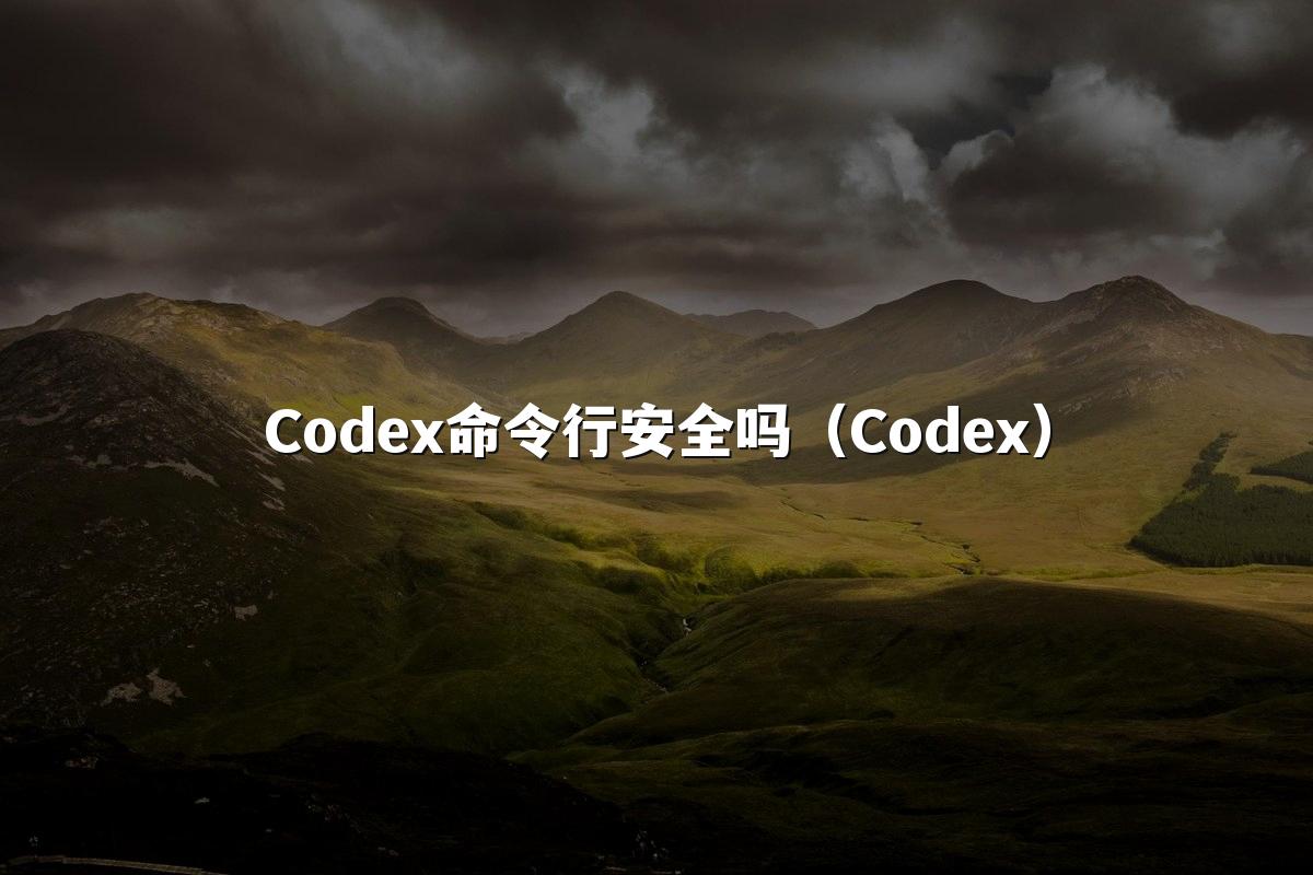 Codex命令行安全吗(Codex)