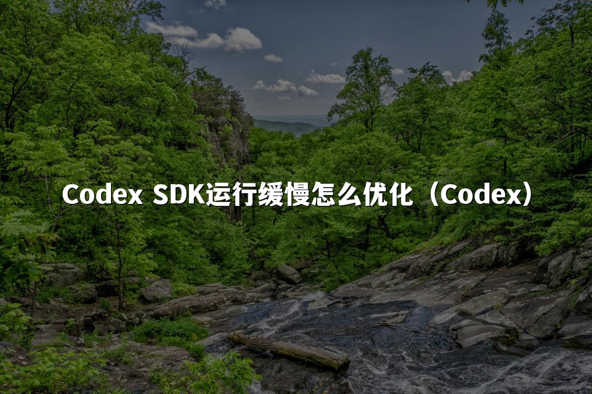 Codex SDK运行缓慢怎么优化(Codex)