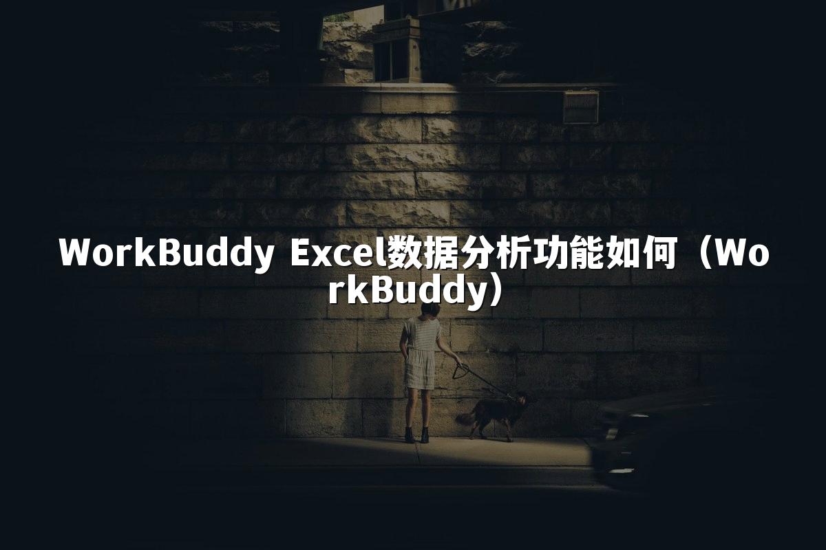 WorkBuddy Excel数据分析功能如何（WorkBuddy）