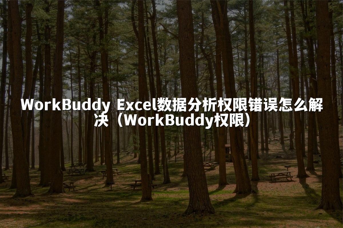WorkBuddy Excel数据分析权限错误怎么解决(WorkBuddy权限)