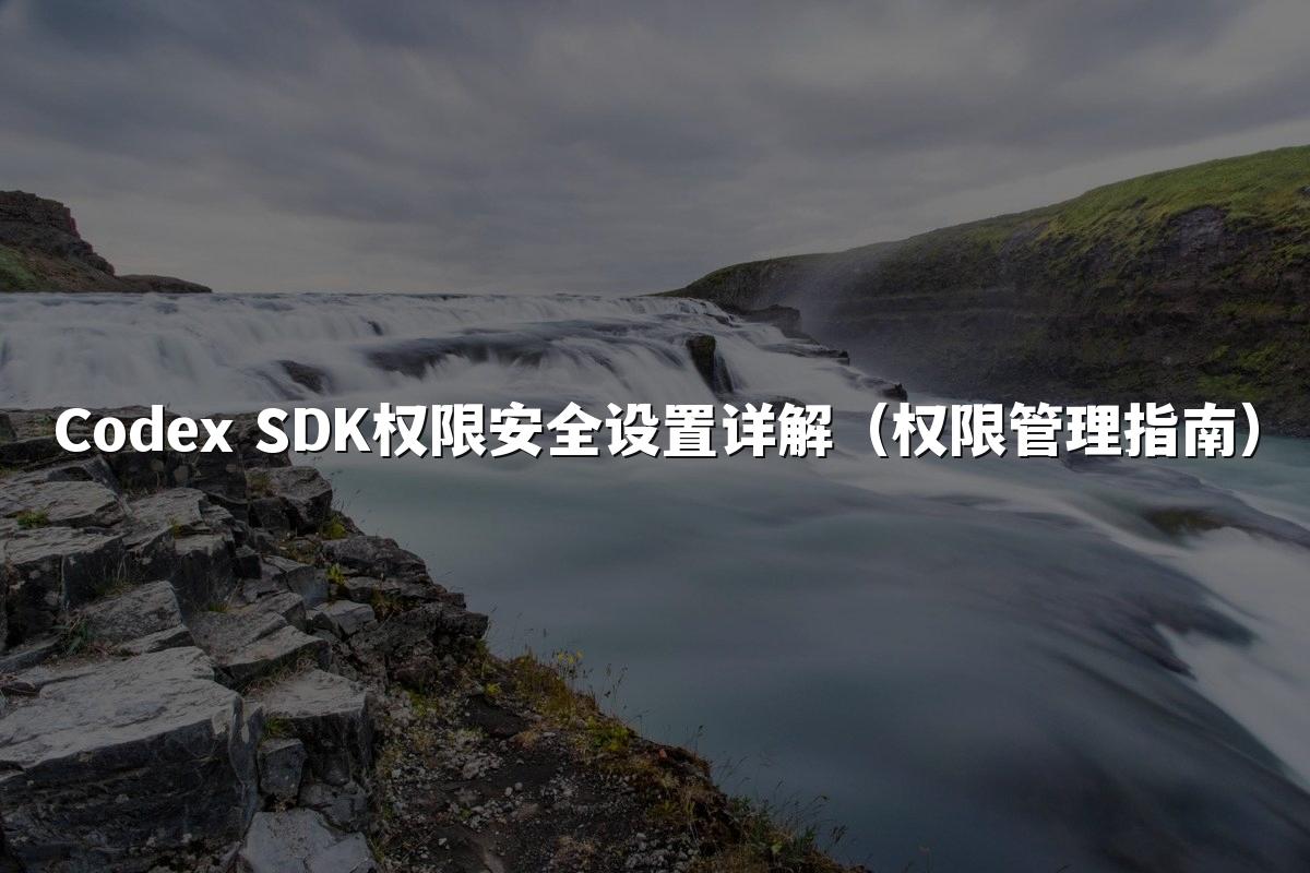Codex SDK权限安全设置详解(权限管理指南)