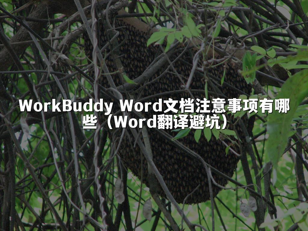 WorkBuddy Word文档注意事项有哪些(Word翻译避坑)