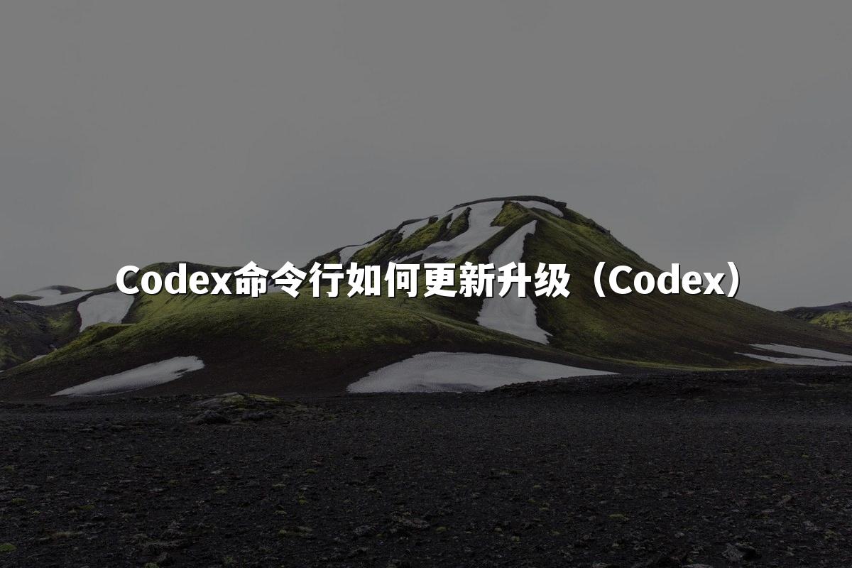 Codex命令行如何更新升级(Codex)