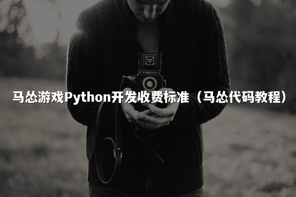 马怂游戏Python开发收费标准（马怂代码教程）