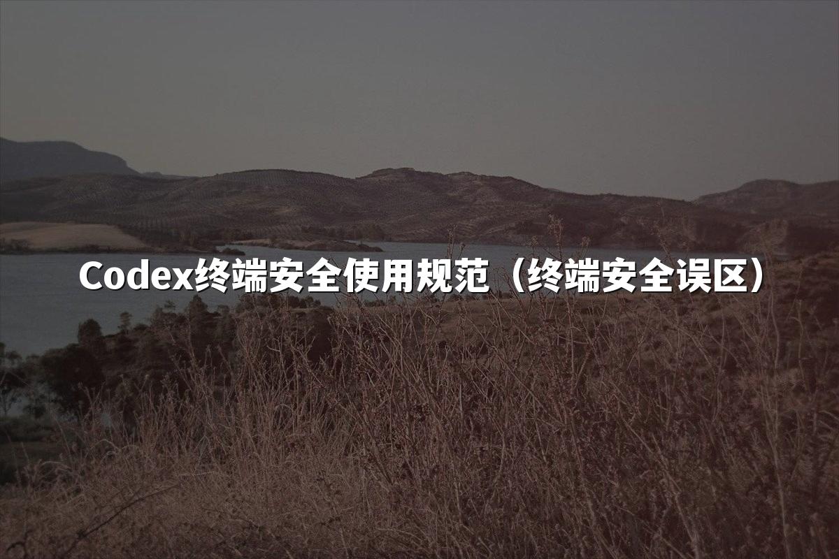 Codex终端安全使用规范（终端安全误区）