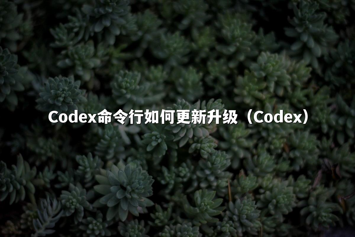 Codex命令行如何更新升级(Codex)