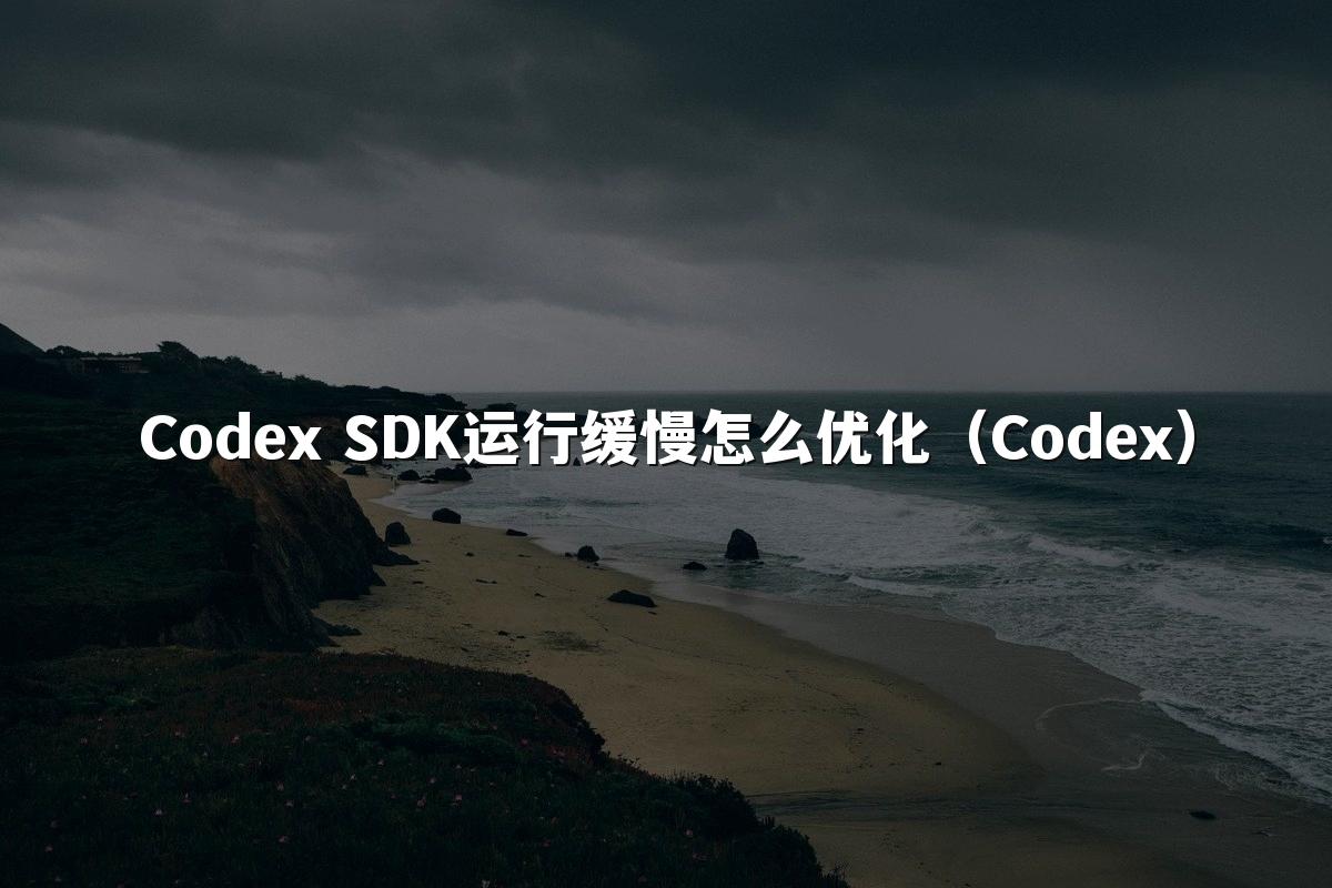 Codex SDK运行缓慢怎么优化(Codex)